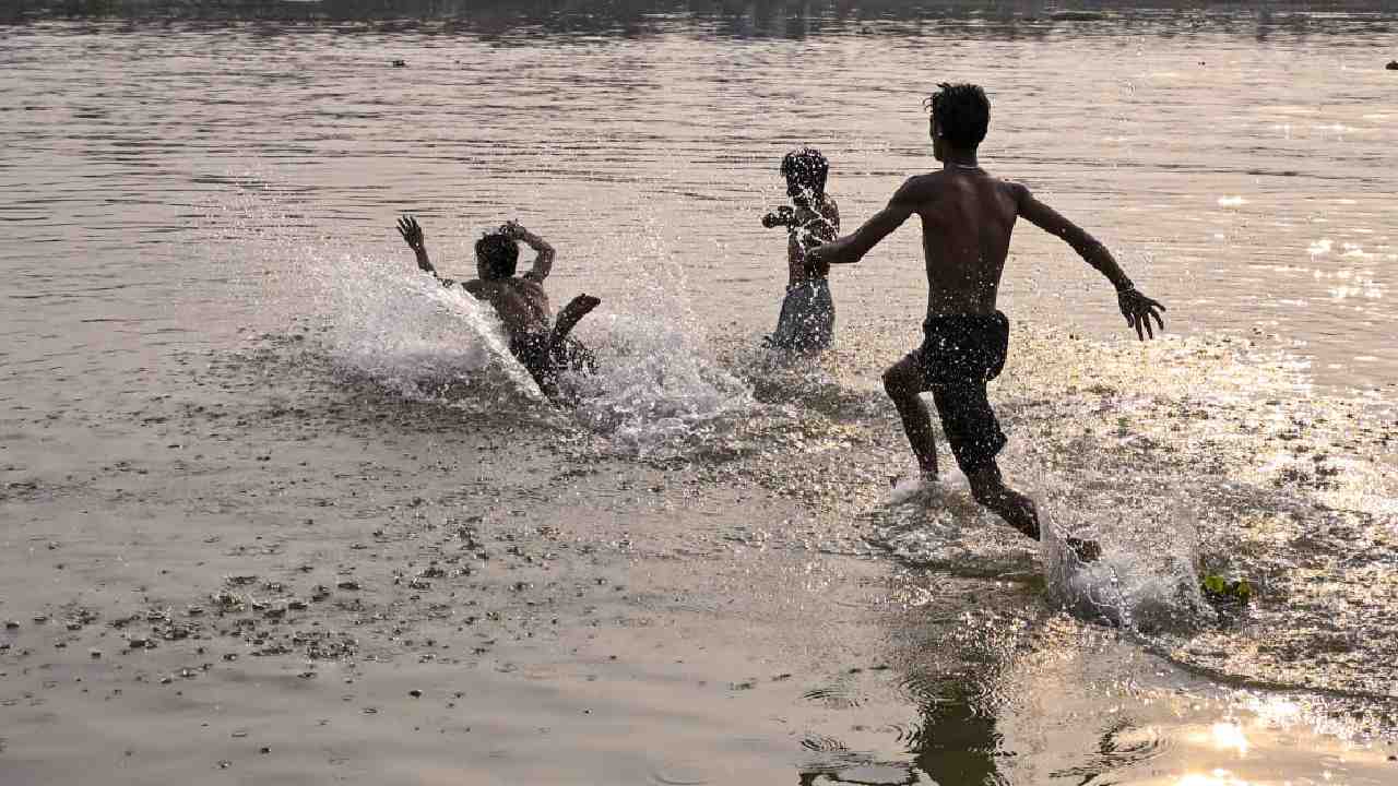গরমে স্বস্তির খোঁজে জলকেলি। নদিয়ায়।