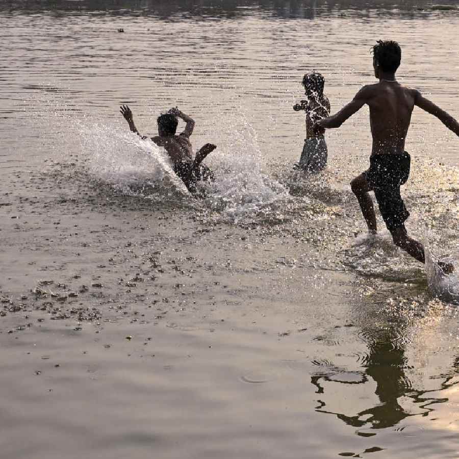 গরমে স্বস্তির খোঁজে জলকেলি। নদিয়ায়।