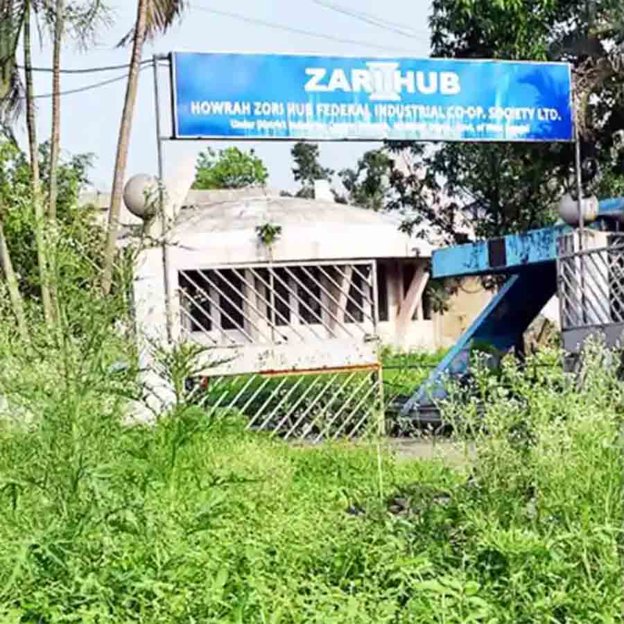 আগাছায় ভরেছে জরি হাব।