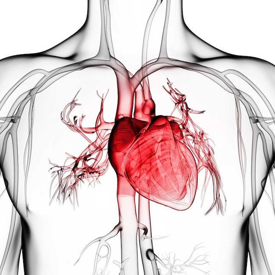 হার্ট অ্যাটাকের সবচেয়ে বিপজ্জনক মুহূর্ত কোনটি?