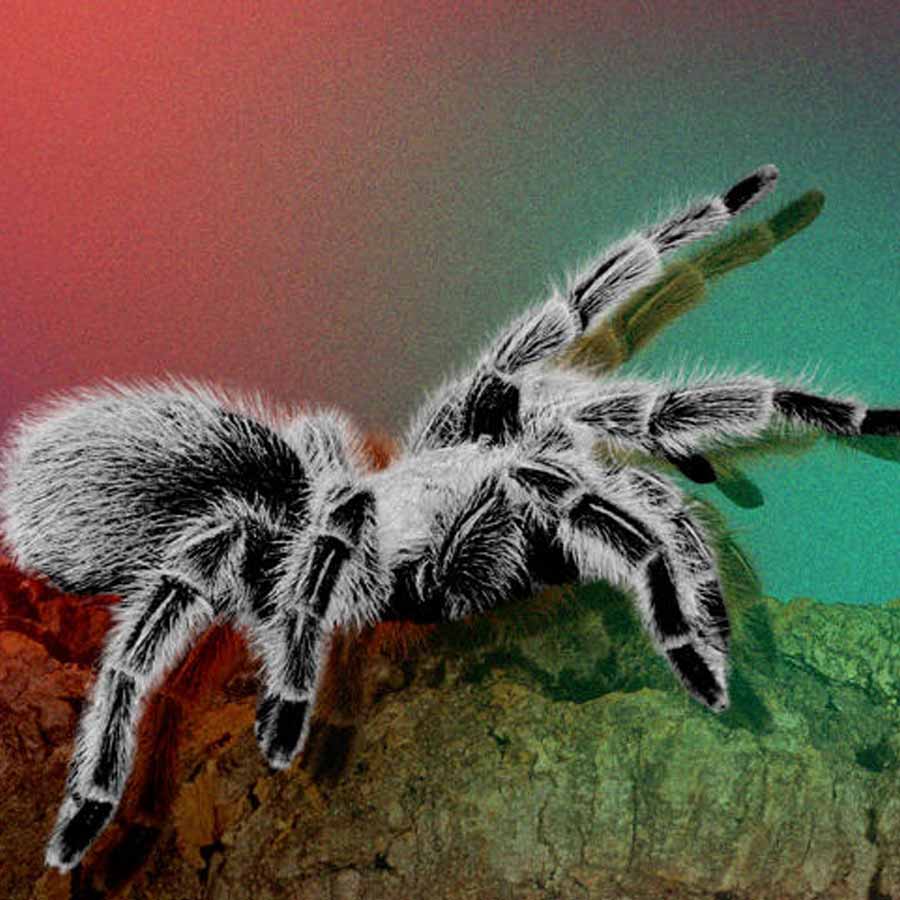 How a Honduras trip in 2017 turns out to be nightmare for 120 corporate employees