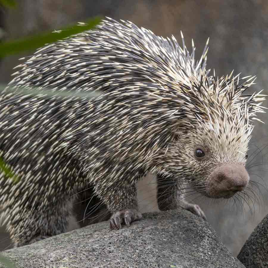 How a Honduras trip in 2017 turns out to be nightmare for 120 corporate employees