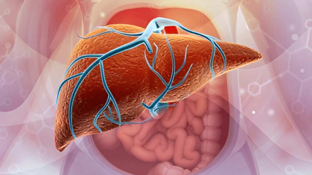 Are you truly fit, these are the signs of a perfect Gut and Healthy Liver