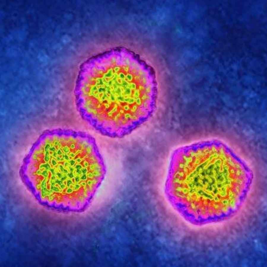 Diarrhea Cases Rising In Children, ICMR study reveals the causes