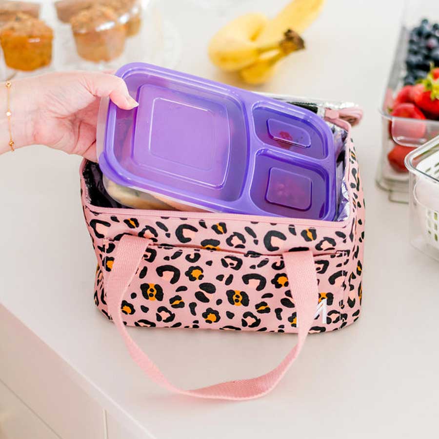 টিফিনের ব্যাগটি কখনও পরিষ্কার করেন? কেন সেই দিকেও নজর দেওয়া জরুরি?