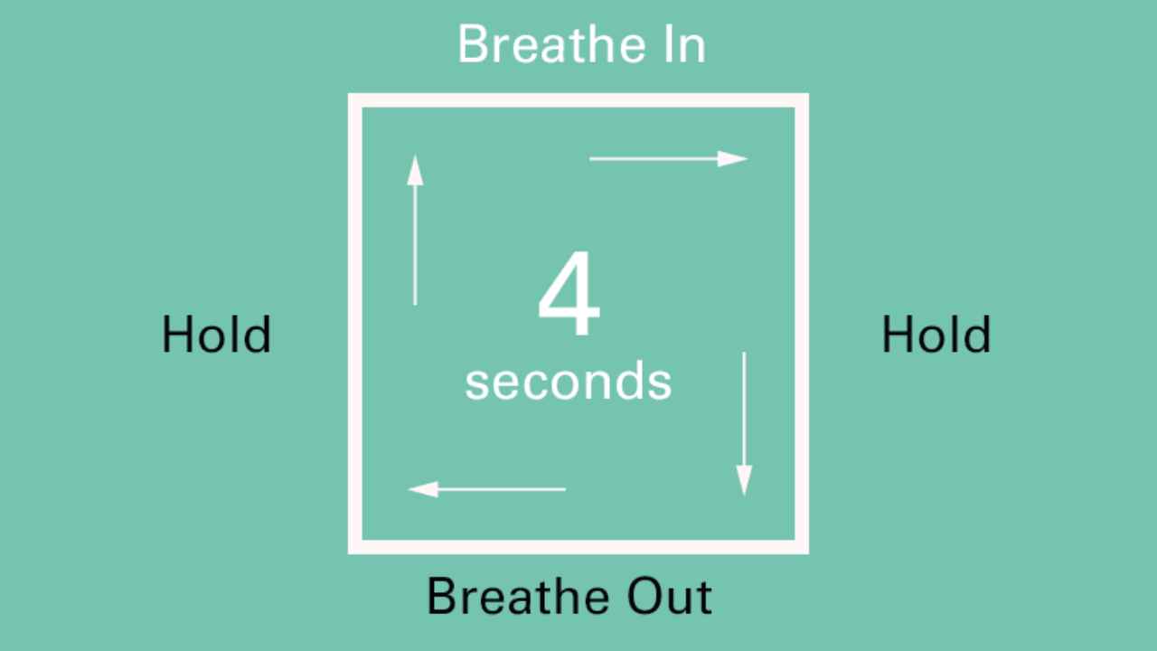 ছবি: সংগৃহীত।