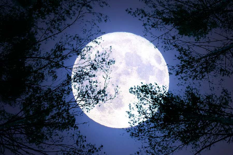 US once plan for nuclear explosion in moon during cold war