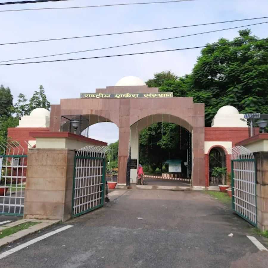 ন্যাশনাল সুগার ইনস্টিটিউট।