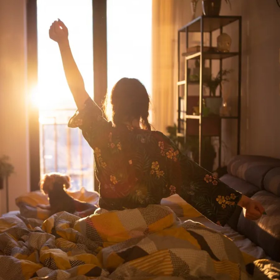 ভোরের আলো মস্তিষ্ককে জানিয়ে দেয়, এখন জেগে ওঠার সময়।