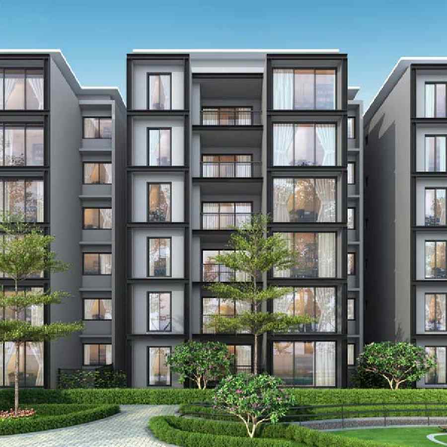 Representative Picture