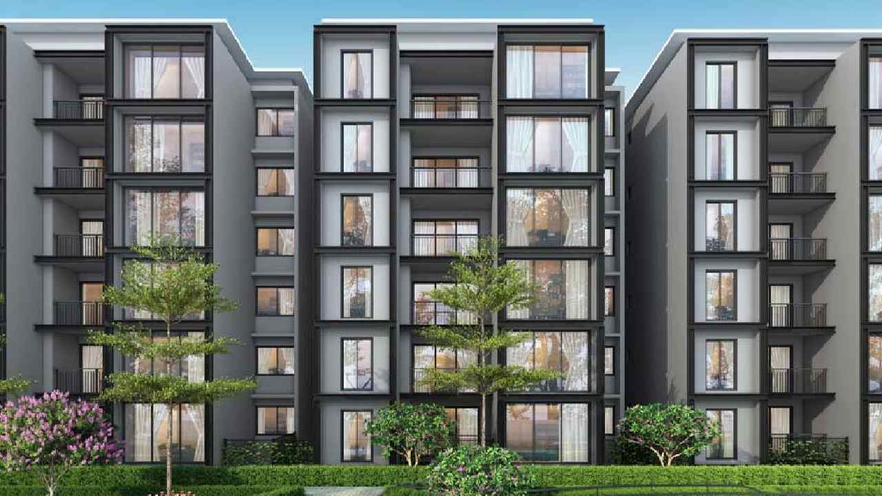 Representative Picture