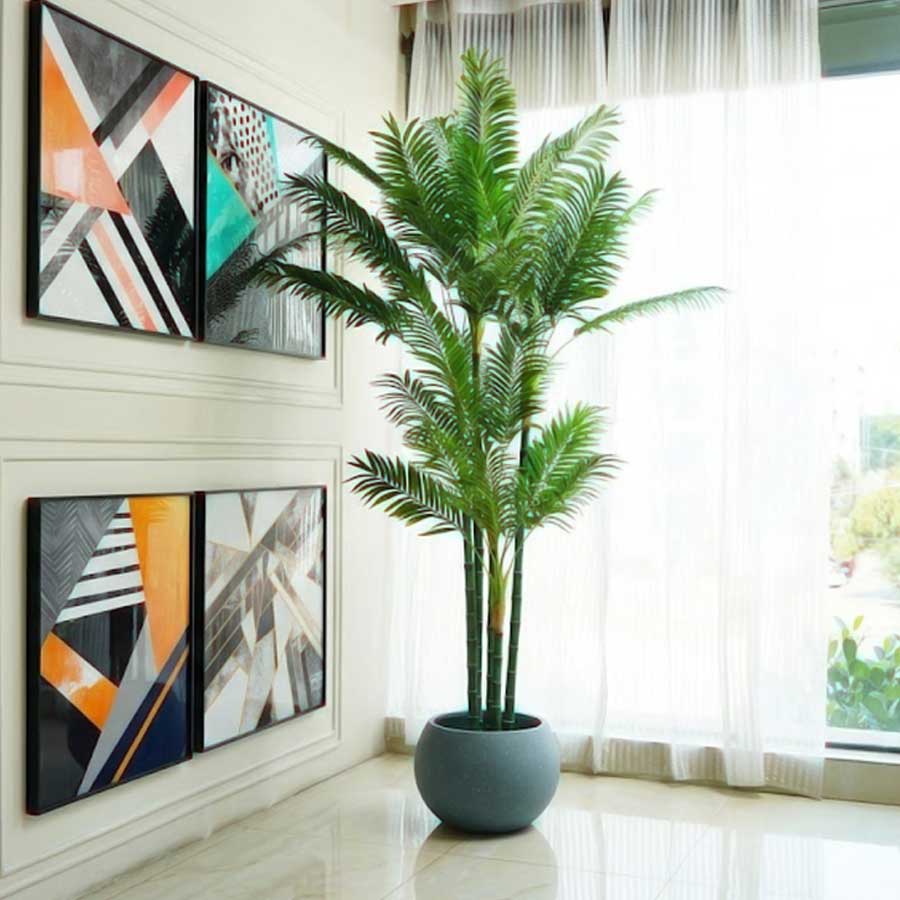 Tall Plants, No Harvest, Here’s Why Your Garden Isn’t Fruiting