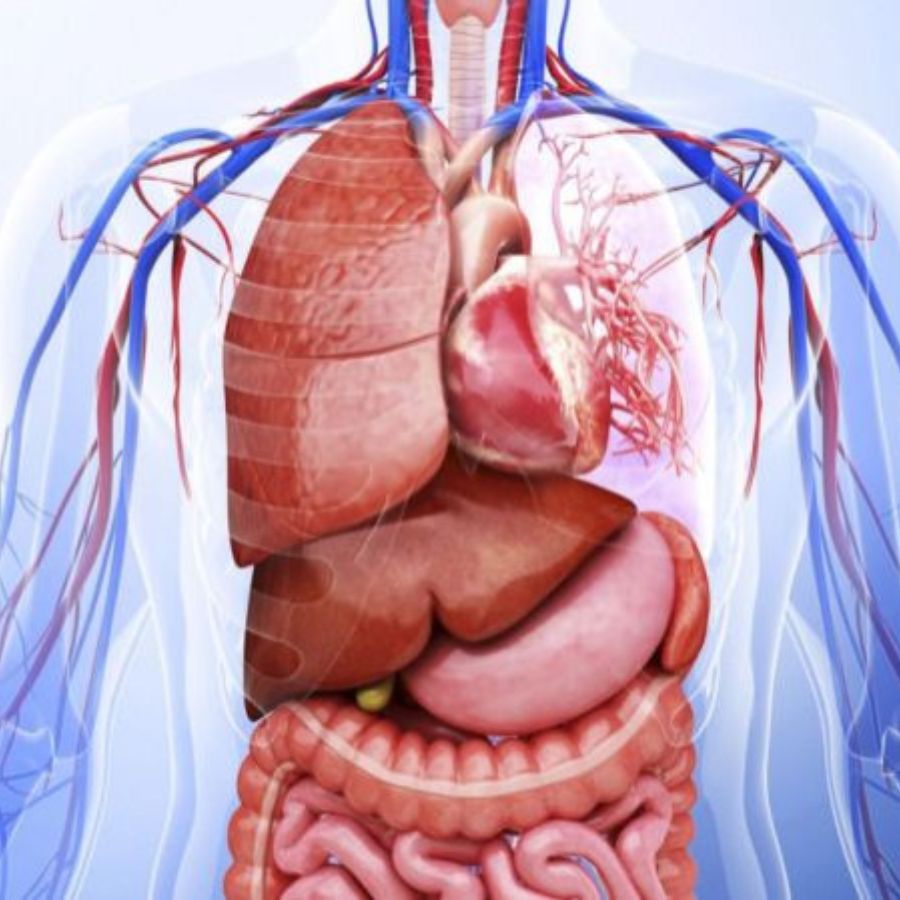 অঙ্গের ক্ষতি এড়াতে কী ভাবে সতর্ক হবেন?