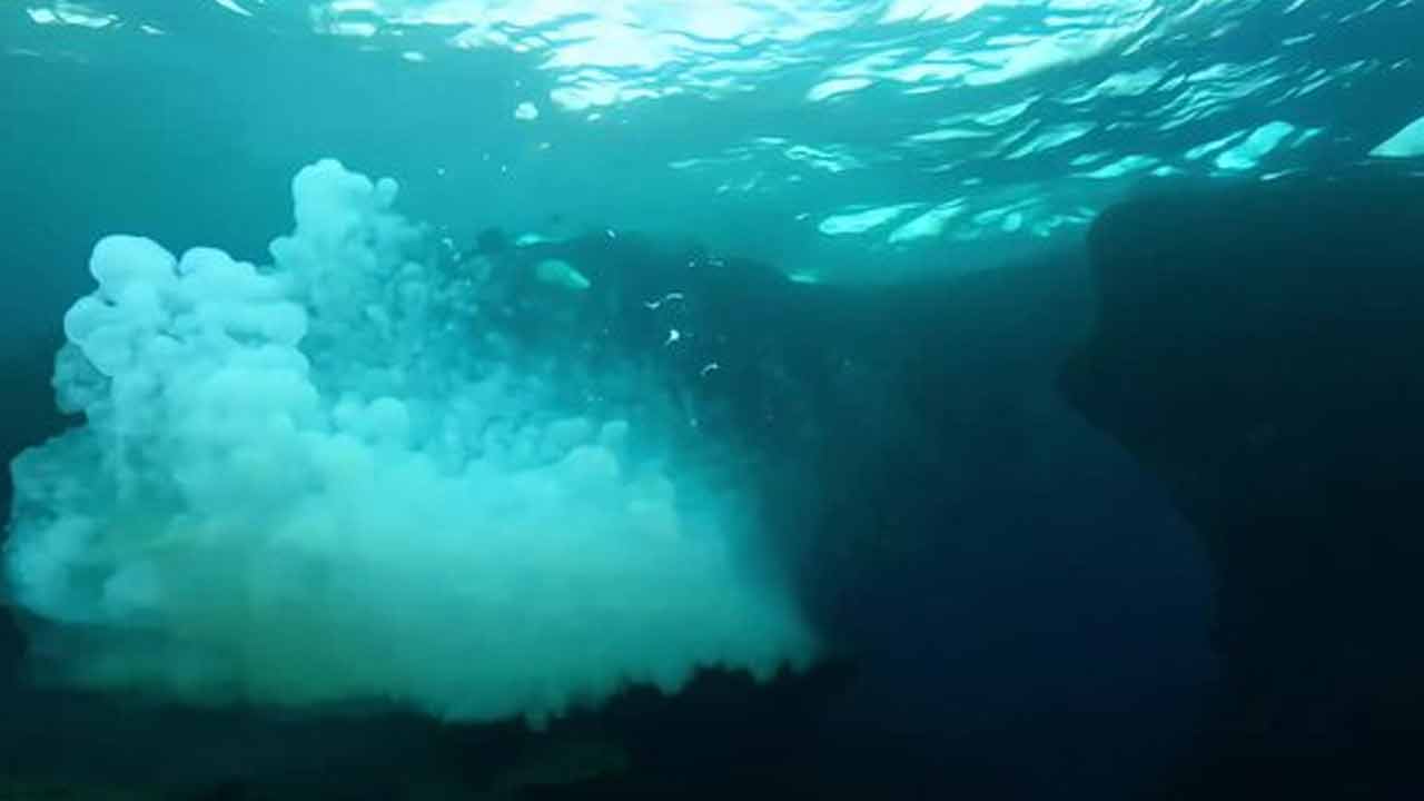 সমুদ্র থেকে বিষাক্ত গ্যাস মিশছে বাতাসে।