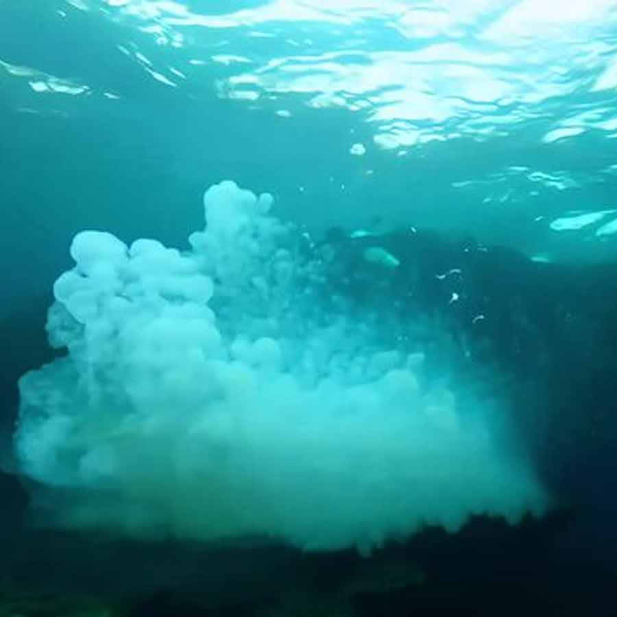 সমুদ্র থেকে বিষাক্ত গ্যাস মিশছে বাতাসে।