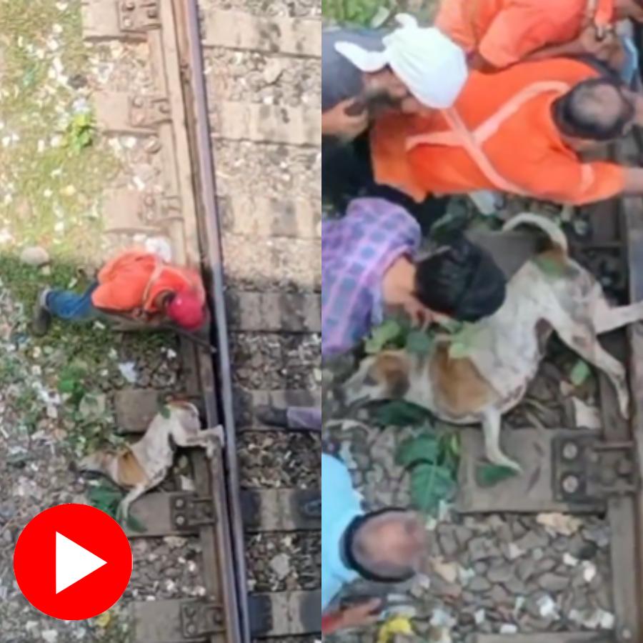 Video shows workers saves dog from the rail line