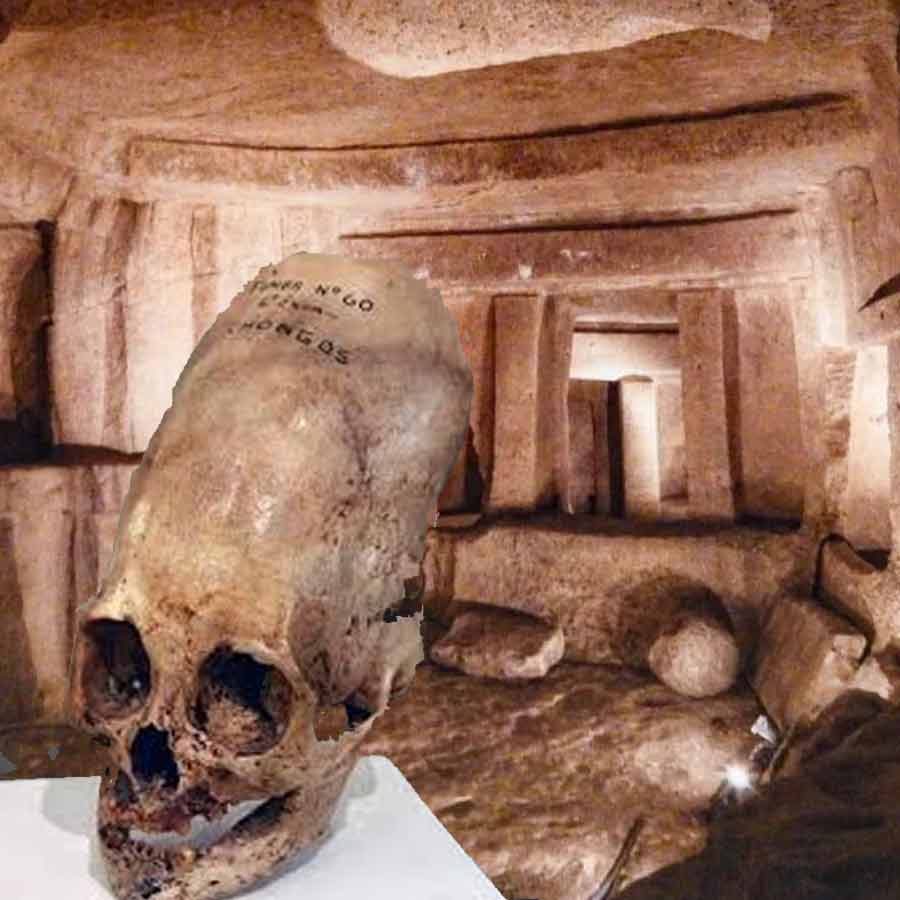 Mystery of Long-Headed Skulls at Hal Saflieni Hypogeum dgtl