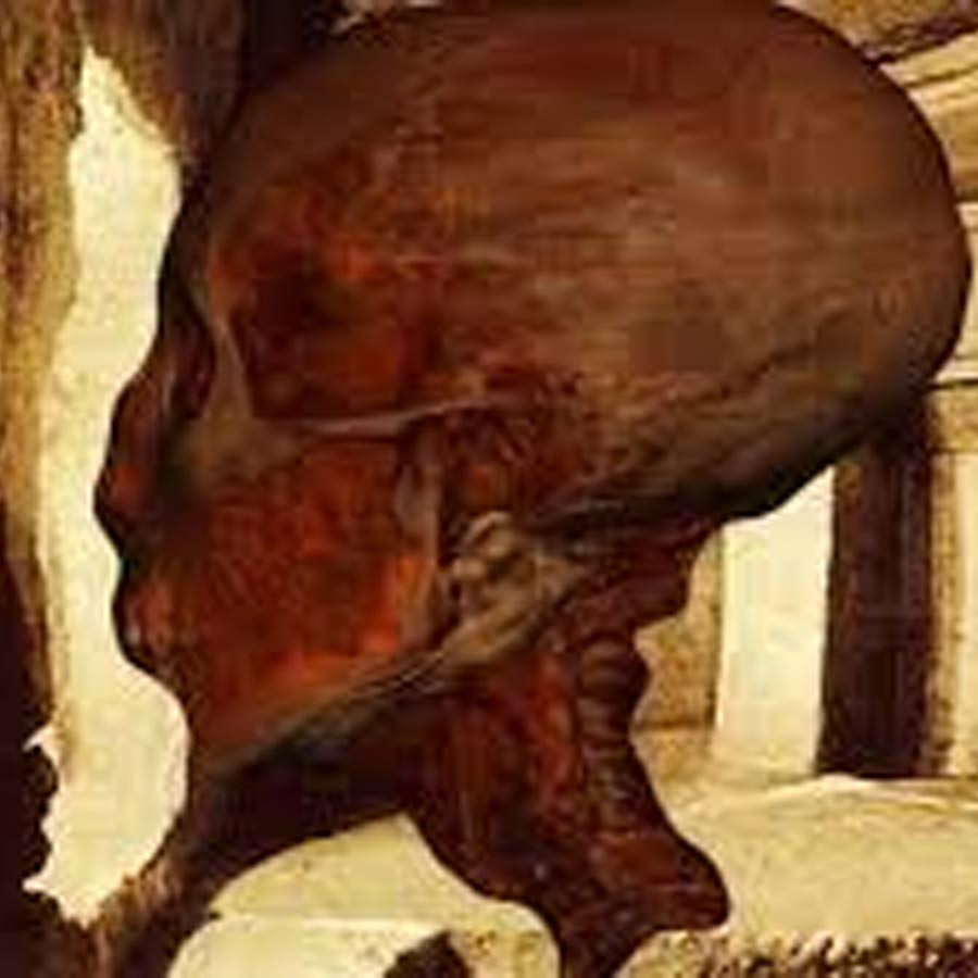 skull