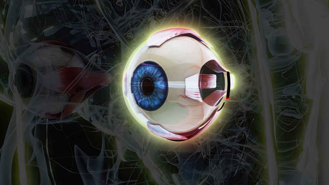 দৃষ্টি ফেরাবে যান্ত্রিক চোখ।