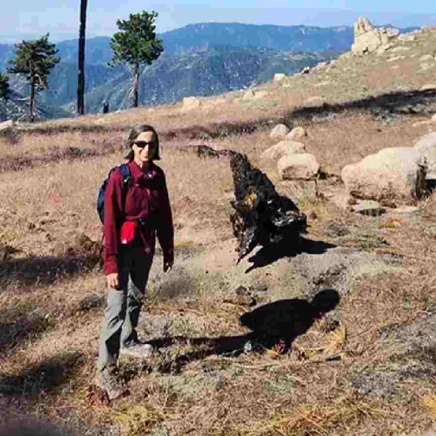  US scientists Missing Mystery 