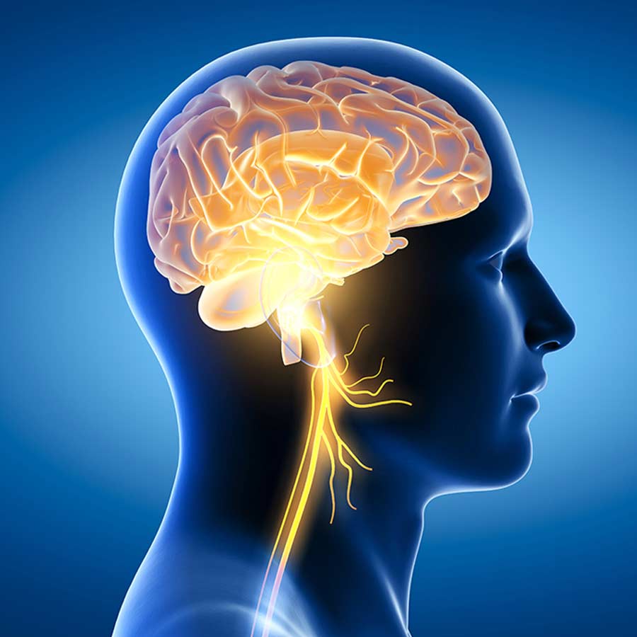 Scientists have developed a nasal spray that can reverse Brain Ageing