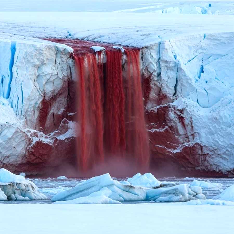 অ্যান্টার্কটিকার ম্যাকমার্ডো ড্রাই ভ্যালির টেলর হিমবাহের সেই রক্ত প্রপাত।