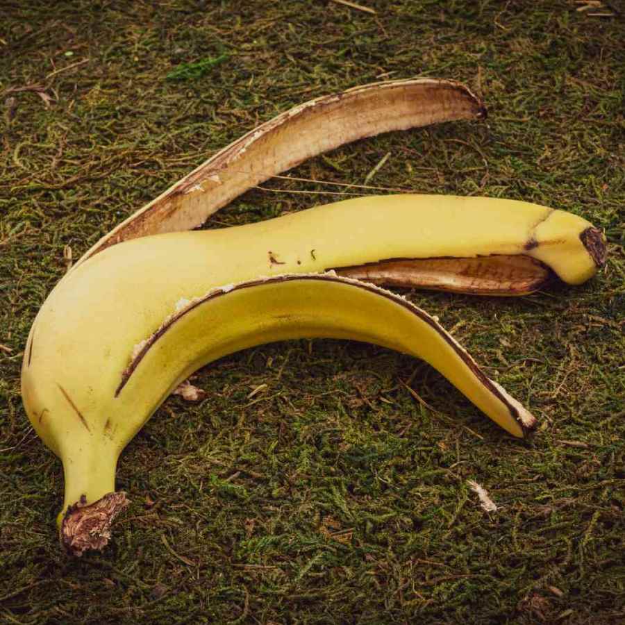 কলার খোসা কী ভাবে ব্যবহার করবেন?