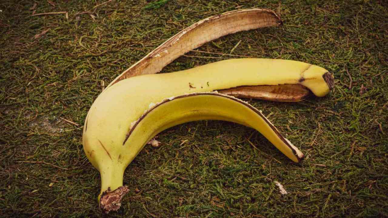 কলার খোসা কী ভাবে ব্যবহার করবেন?