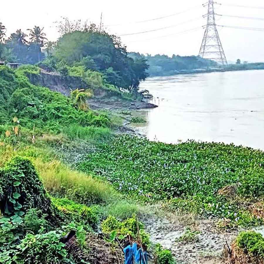 Districts of Jangipara and Balagarh in Hooghly face significant distress due to water-related issues involving local rivers and canals