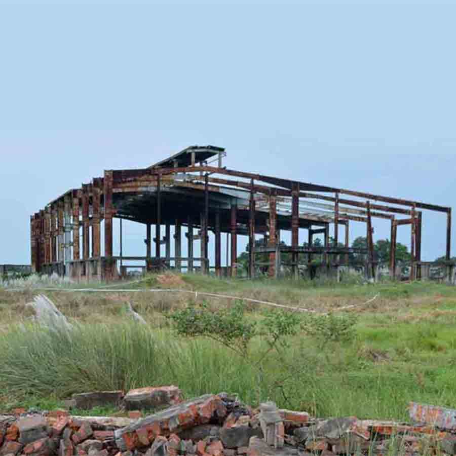 সিঙ্গুরের সেই জমি।