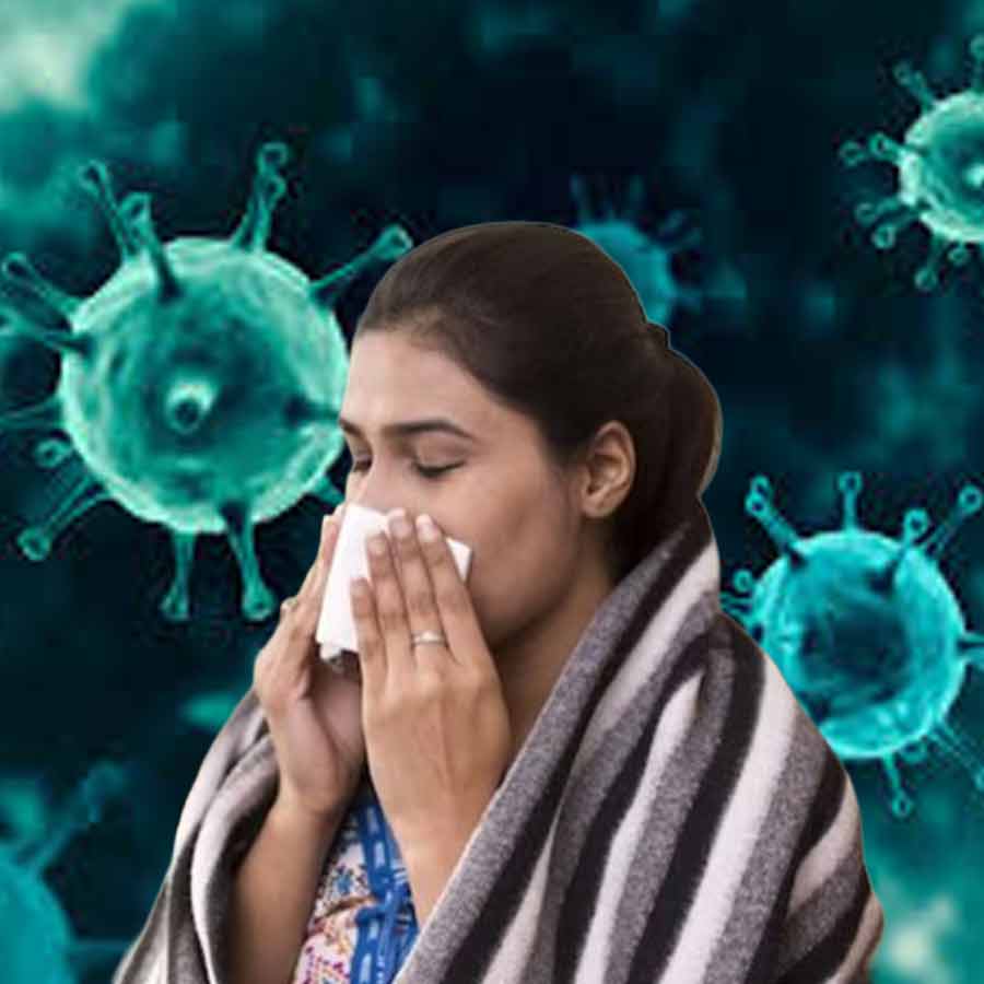 Prolonged Fever and Gastrointestinal Issues, causes and remedies