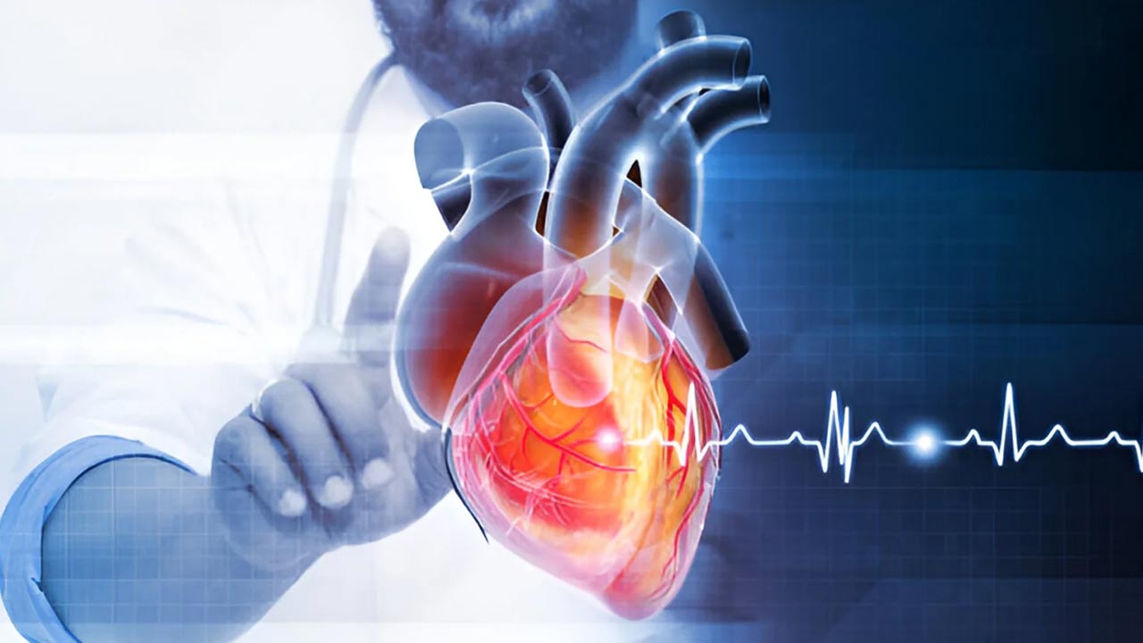 A digital heart twin, can successfully identify problem areas deep in the heart muscle of people