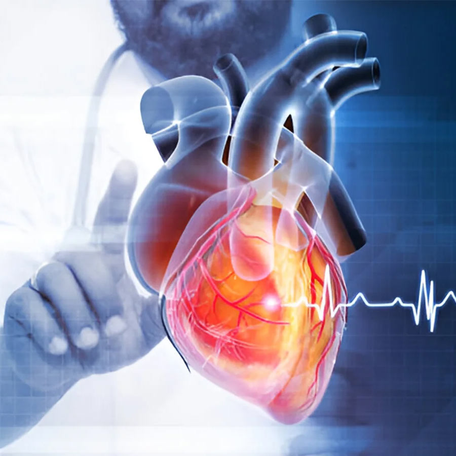 A digital heart twin, can successfully identify problem areas deep in the heart muscle of people