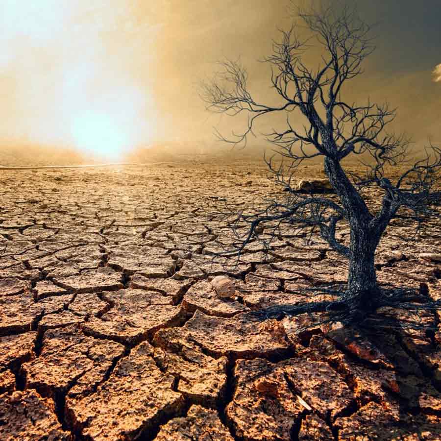 তাপমাত্রা বাড়ছে, আরও উষ্ণ হচ্ছে ধরিত্রী।