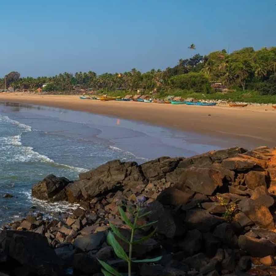 Global Heatwave Alert