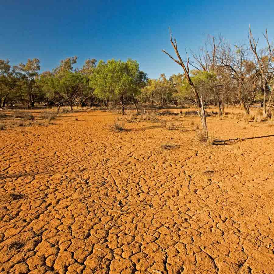 Global Heatwave Alert