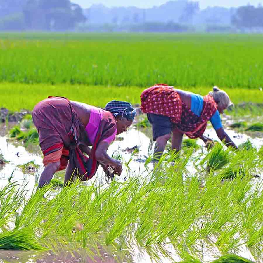 Global Heatwave Alert