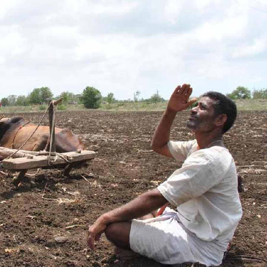 Global Heatwave Alert