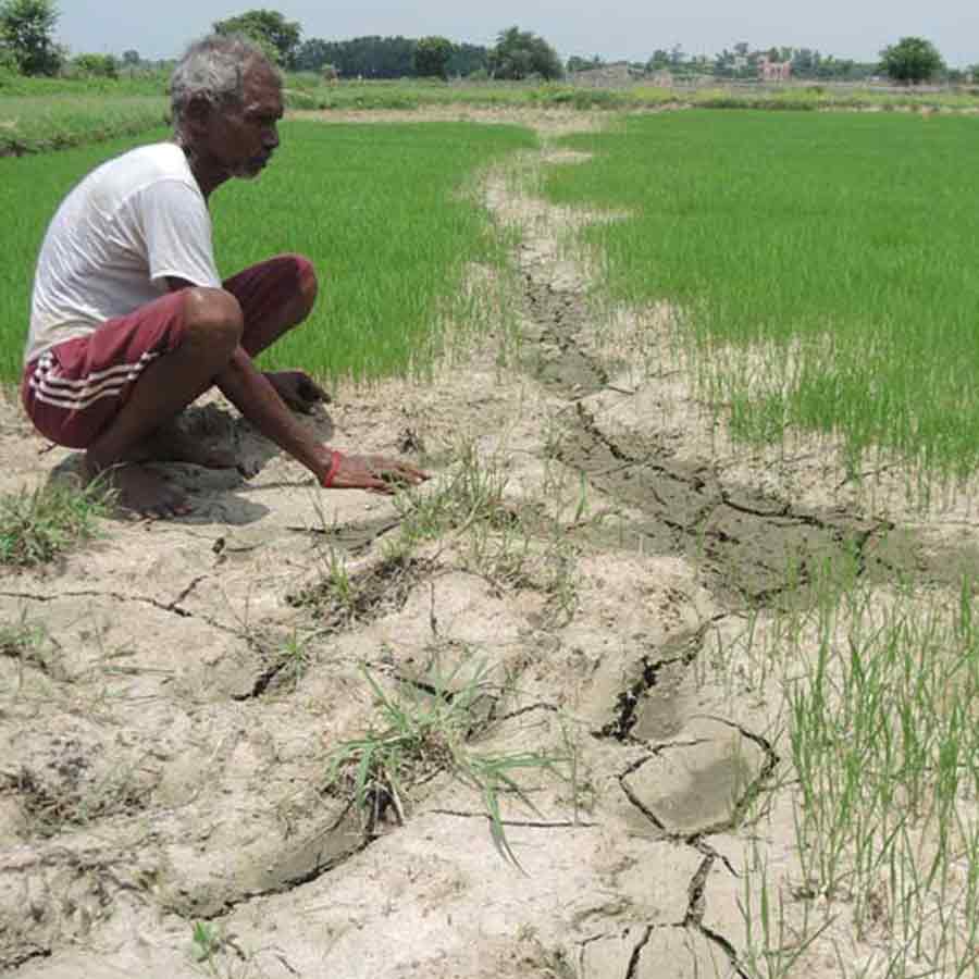 Global Heatwave Alert