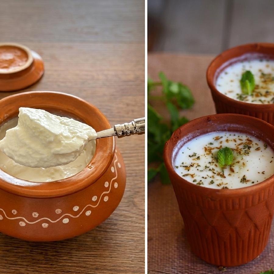 Curd vs. Buttermilk, Which is Better for Your Gut This Summer Dgtl