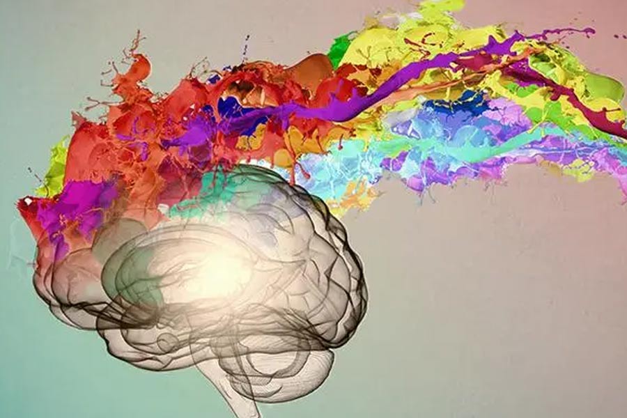 মস্তিষ্কের এক কুঠুরির অনুভূতি মিলেমিশে যায় অন্য কুঠুরির সঙ্গে।