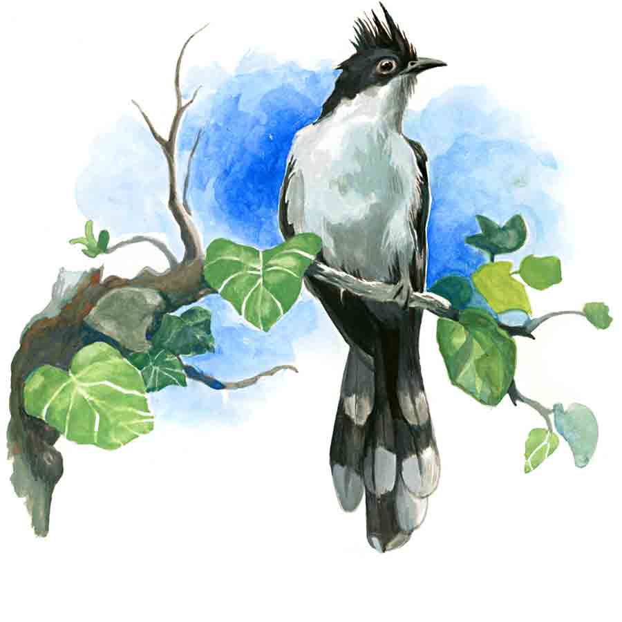 ছবি: প্রসেনজিৎ নাথ।