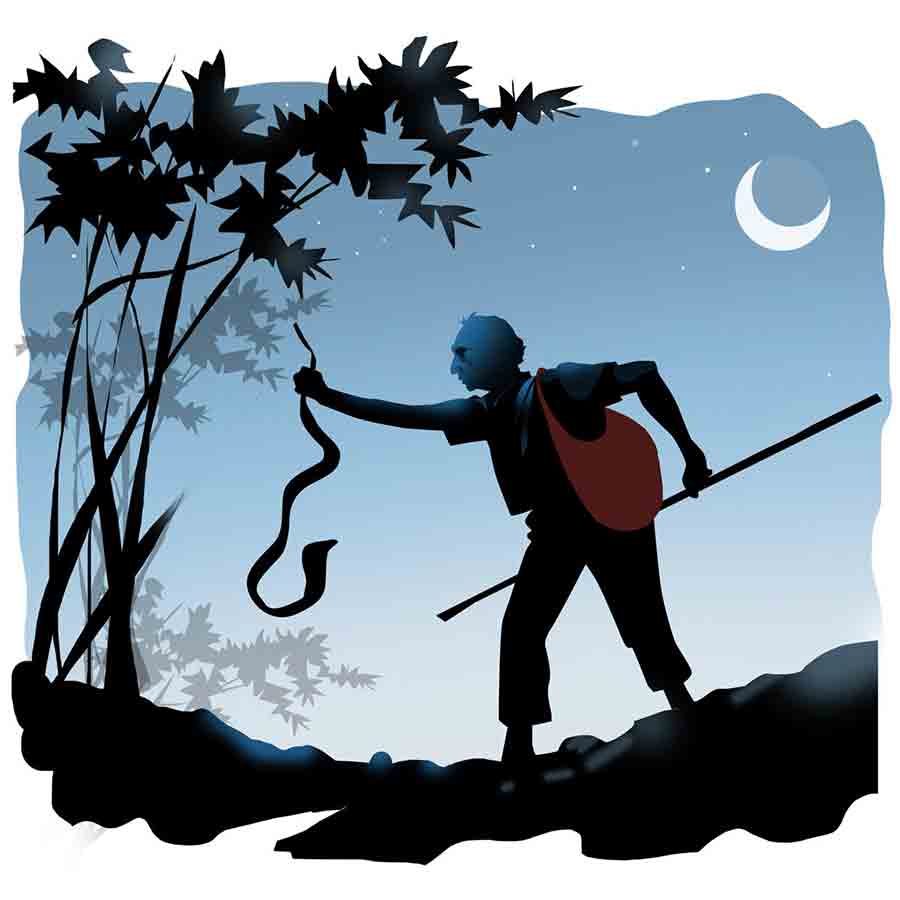 ছবি: প্রসেনজিৎ নাথ।