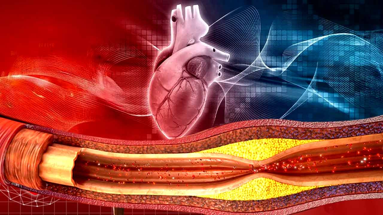 What is endothelial dysfunction, Causes & Cures of Endothelial Issues
