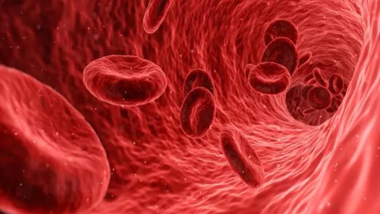 শরীরে হিমোগ্লোবিনের মাত্রা বৃদ্ধি করবেন কী ভাবে?