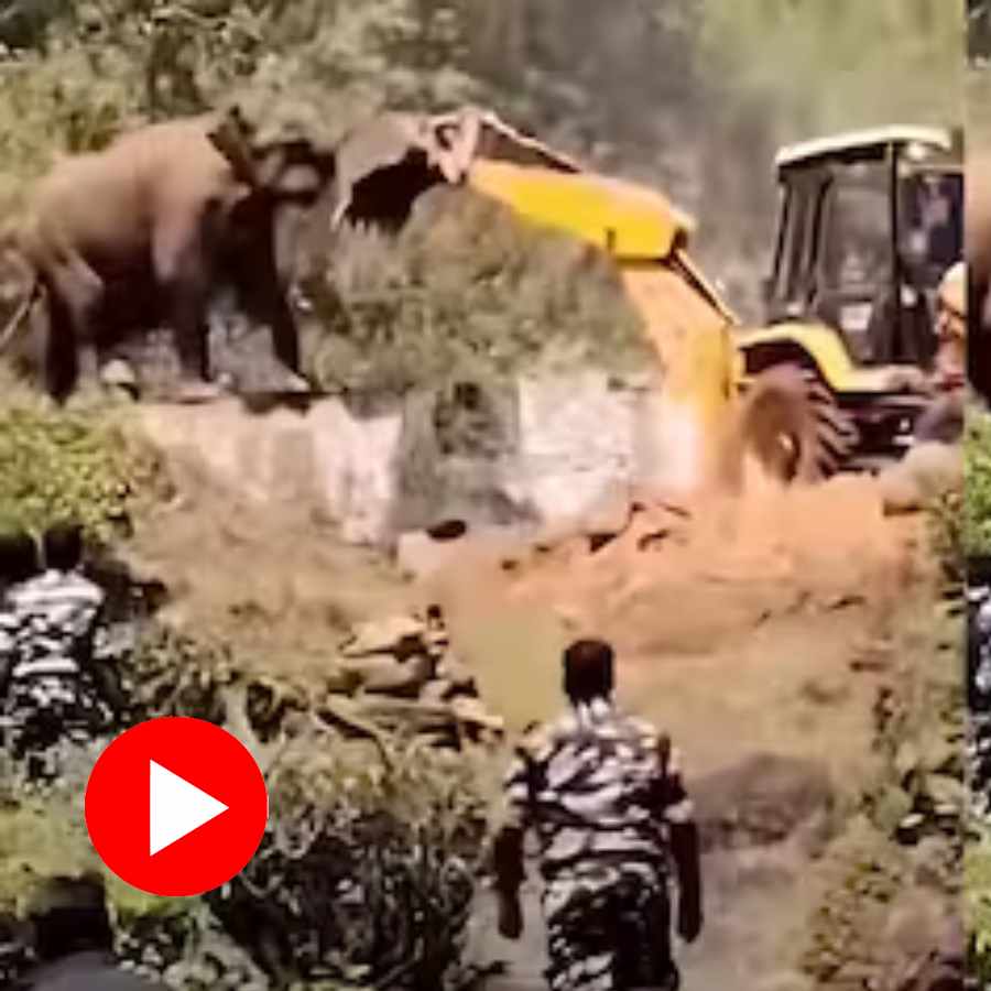 Video claims an elephant standing in front of JCB to protect home