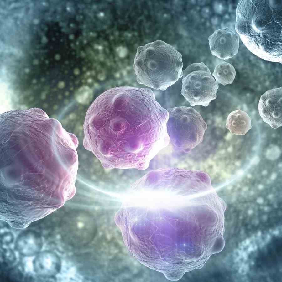 Foods that Can Inhibit Cancer Cell Growth