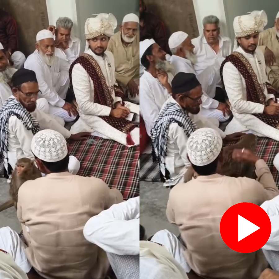 Video shows monkey arrives at wedding ceremony, then what happens