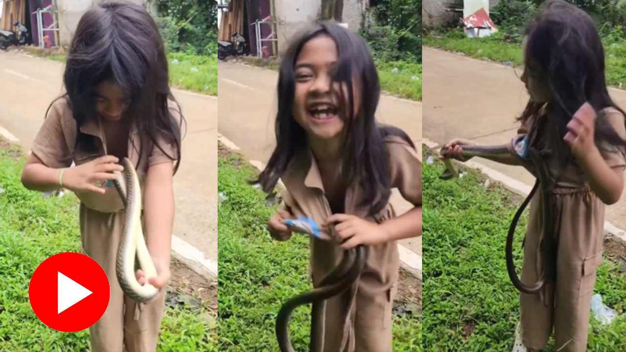 Video shows little girl roaming around by keeping snake inside dress, internet reacts