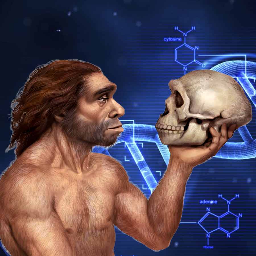 New study shows evolution of human beings have not stopped dgtl